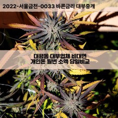 대평동대부대출 대평동1가비대면대출 부산영도구대부업체개인돈 대평동2가월변대부업체 대평동소액월변대출