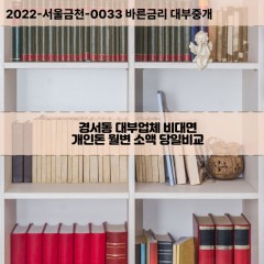 경서동대부대출 경서동비대면대출 인천서구대부업체개인돈 경서동월변대부업체 경서동소액월변대출