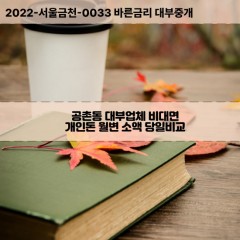 공촌동대부대출 공촌동비대면대출 인천서구대부업체개인돈 공촌동월변대부업체 공촌동소액월변대출