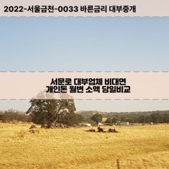 서문로대부대출 서문로1가비대면대출 대구중구대부업체개인돈 서문로2가월변대부업체 서문로소액월변대출