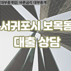 보목동대부업체 보목동비대면대출 서귀포시대부업체개인돈 보목동월변대부대출 보목동소액대부업체