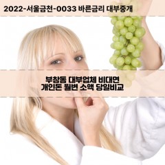 부창동대부대출 부창동비대면대출 충남논산시대부업체개인돈 부창동월변대부업체 부창동소액월변대출