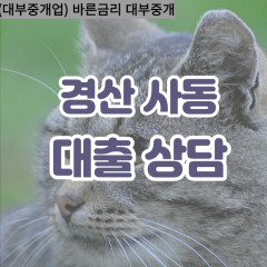 사동대부대출 사동비대면대출 경산시대부업체 사동급전대출개인돈 사동소액월변대출