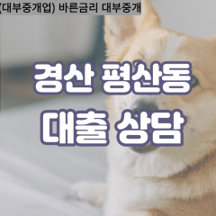 평산동대부대출 평산동비대면대출 경산시대부업체 평산동급전대출개인돈 평산동소액월변대출