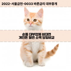 순동대부대출 순동비대면대출 전북김제시대부업체 순동급전대출개인돈 순동소액월변대출