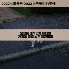 오정동대부대출 오정동비대면대출 전북김제시대부업체 오정동급전대출개인돈 오정동소액월변대출