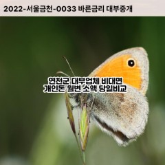 연천읍대부대출 왕징면비대면대출 연천군대부업체 장남면급전대출개인돈 전곡읍소액월변대출