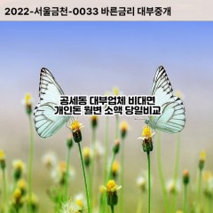 공세동대부대출 공세동비대면대출 용인시기흥구대부업체 공세동급전대출개인돈 공세동소액월변대출