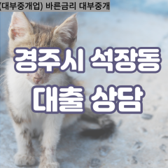 석장동대부대출 석장동비대면대출 경주시대부업체 석장동급전대출개인돈 석장동소액월변대출