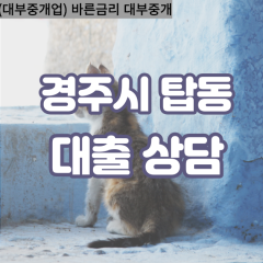 탑동대부대출 탑동비대면대출 경주대부업체 탑동급전대출개인돈 탑동소액월변대출