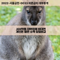 서서학동대부대출 서서학동비대면대출 전주시완산구대부업체 서서학동급전대출개인돈 서서학동소액월변대출