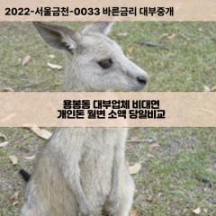 용봉동대부대출 용봉동비대면대출 전주시완산구대부업체 용봉동급전대출개인돈 용봉동소액월변대출