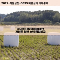 석교동대부대출 석교동비대면대출 대전시중구대부업체 석교동급전대출개인돈 석교동소액월변대출