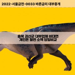 사리면대부대출 소수면비대면대출 충북괴산군대부업체 연풍면급전대출개인돈 장연면소액월변대출