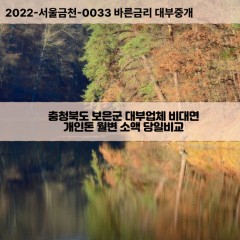 충청북도대부대출 탄부면면비대면대출 충북보은군대부업체 회남면급전대출개인돈 회인면소액월변대출