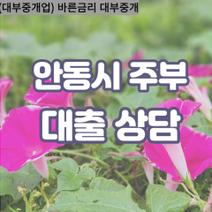 갈안면대부대출 남선면비대면대출 안동시대부업체 남후면급전대출개인돈 녹전면소액월변대출