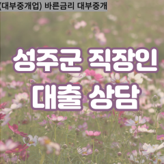 가천면대부대출 금수면비대면대출 성주군대부업체 대가면급전대출개인돈 벽진면소액월변대출