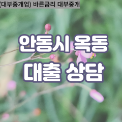 옥동대부대출 옥동비대면대출 안동시대부업체 옥동급전대출개인돈 옥동소액월변대출