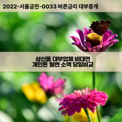 상신동대부대출 상신동비대면대출 청주시흥덕구대부업체 상신동급전대출개인돈 상신동소액월변대출