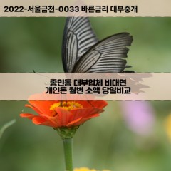 종민동대부대출 종민동비대면대출 충북충주시대부업체 종민동급전대출개인돈 종민동소액월변대출