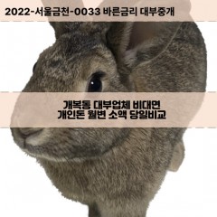 개복동대부대출 개복동비대면대출 전북군산시대부업체 개복동급전대출개인돈 개복동소액월변대출