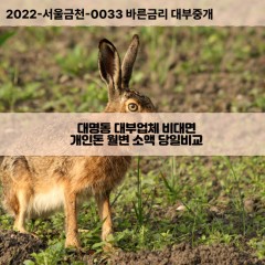 대명동대부대출 대명동비대면대출 전북군산시대부업체 대명동급전대출개인돈 대명동소액월변대출