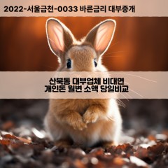 산북동대부대출 산북동비대면대출 전북군산시대부업체 산북동급전대출개인돈 산북동소액월변대출