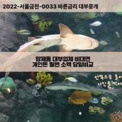 망제동대부대출 망제동비대면대출 전북정읍시대부업체 망제동급전대출개인돈 망제동소액월변대출