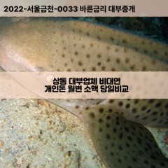 상동대부대출 상동비대면대출 전북정읍시대부업체 상동급전대출개인돈 상동소액월변대출