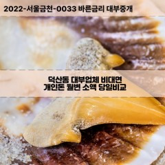 덕산동대부대출 덕산동비대면대출 포항시북구대부업체 덕산동급전대출개인돈 덕산동소액월변대출