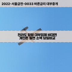 해보면대부대출 신광면비대면대출 전남함평군대부업체 함평읍급전대출개인돈 전라도함평소액월변대출