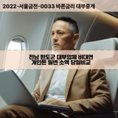 신지면대부대출 약산면비대면대출 전남완도군대부업체 완도읍급전대출개인돈 청산면소액월변대출