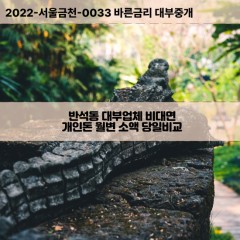 반석동대부대출 반석동비대면대출 대전시유성구대부업체 반석동급전대출개인돈 반석동소액월변대출