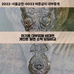 하기동대부대출 하기동비대면대출 대전유성구대부업체 하기동급전대출개인돈 하기동소액월변대출