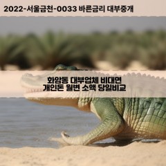 화암동대부대출 화암동비대면대출 대전유성구대부업체 화암동급전대출개인돈 화암동소액월변대출