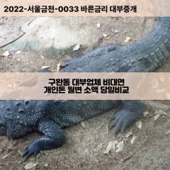 구완동대부대출 구완동비대면대출 대전시중구대부업체 구완동급전대출개인돈 구완동소액월변대출