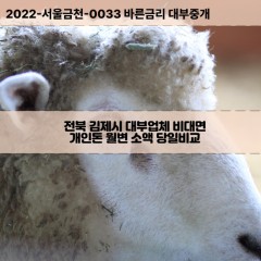 만경읍대부대출 백구면비대면대출 전북김제시대부업체 백산면급전대출개인돈 봉남면소액월변대출