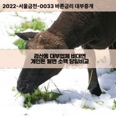 검산동대부대출 검산동비대면대출 전북김제시대부업체 검산동급전대출개인돈 검산동소액월변대출