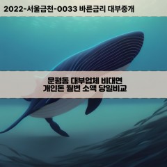 문평동대부대출 문평동비대면대출 대전대덕구대부업체개인돈 문평동월변대부업체 문평동소액월변대출