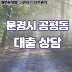 공평동대부대출 공평동비대면대출 문경시대부업체 공평동급전대출개인돈 공평동소액월변대출