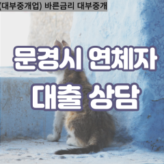 산북면대부대출 산양면비대면대출 문경읍대부업체 영순면급전대출개인돈 호계면소액월변대출