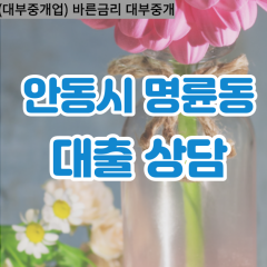 명륜동대부대출 명륜동비대면대출 안동시대부업체 명륜동급전대출개인돈 명륜동소액월변대출