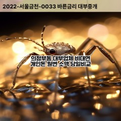 의정부동대부대출 의정부동비대면대출 의정부시대부업체 의정부동급전대출개인돈 의정부동소액월변대출