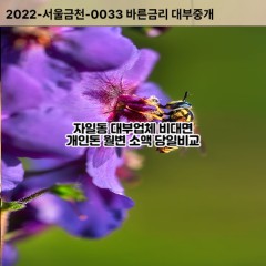 자일동대부대출 자일동비대면대출 자일시대부업체 자일동급전대출개인돈 자일동소액월변대출