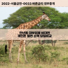 만년동대부대출 만년동비대면대출 대전시서구대부업체개인돈 만년동월변대부업체 만년동소액월변대출