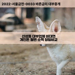 산성동대부대출 산성동비대면대출 청주시상당구대부업체 산성동급전대출개인돈 산성동소액월변대출