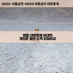 영동대부대출 영동비대면대출 청주시상당구대부업체 영동급전대출개인돈 영동소액월변대출