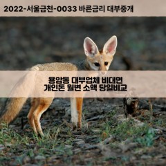 용암동대부대출 용암동비대면대출 청주시상당구대부업체 용암동급전대출개인돈 용암동소액월변대출