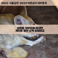 성화동대부대출 성화동비대면대출 청주시서원구대부업체 성화동급전대출개인돈 성화동소액월변대출