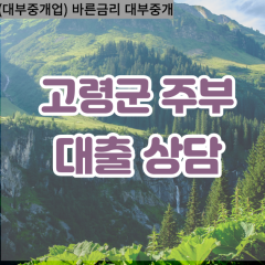 성산면대부대출 쌍림면비대면대출 고령대부업체 우곡면급전대출개인돈 운수면소액월변대출